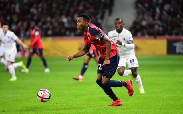 场面十分激 场面十分激