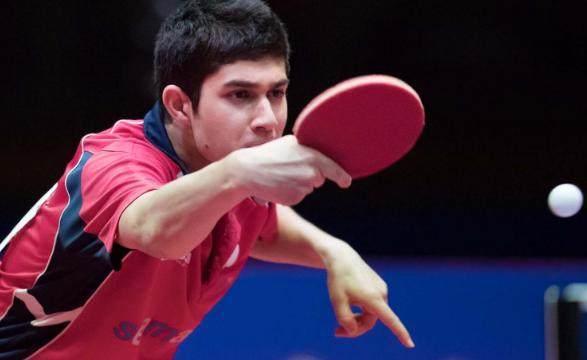 所能提供的 所能提供的