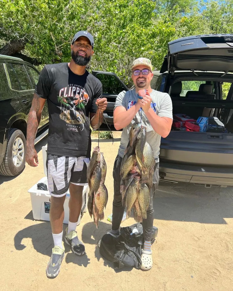 更新显示了 更新显示了