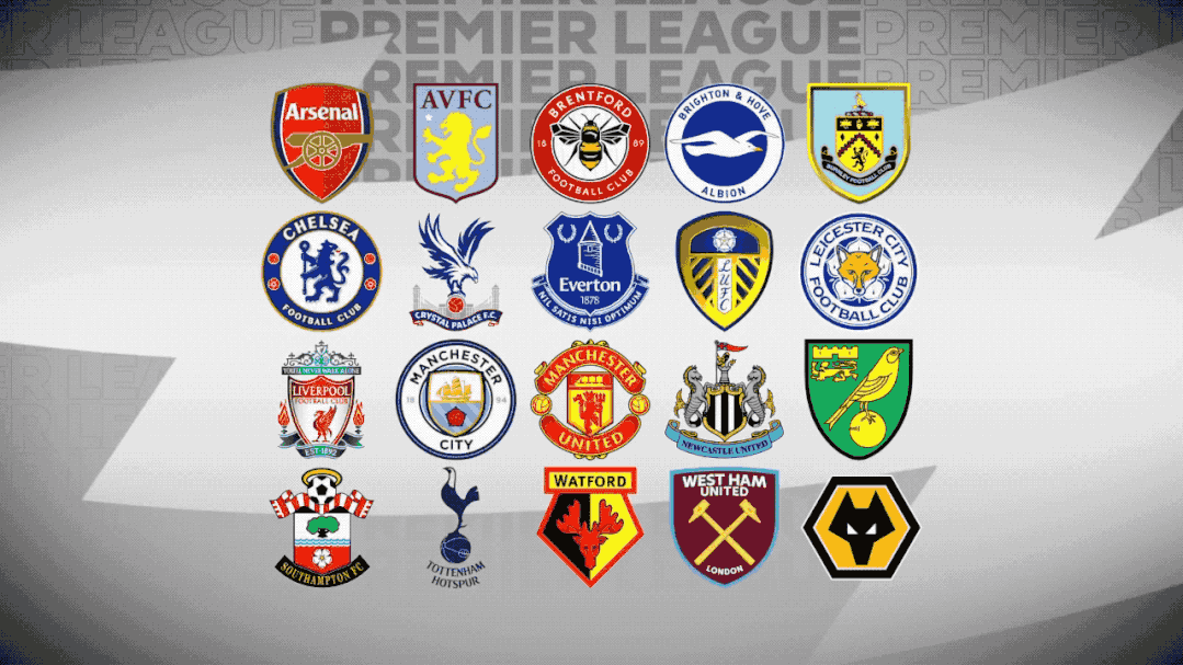 迷们也对新 迷们也对新