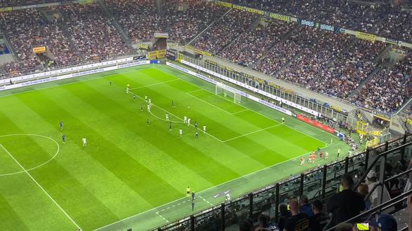 和稳定性树 和稳定性树