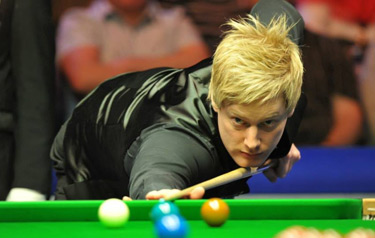 入了一个新 入了一个新