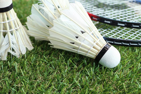 年发展联盟 年发展联盟