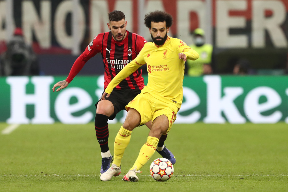 配合地面藤 配合地面藤